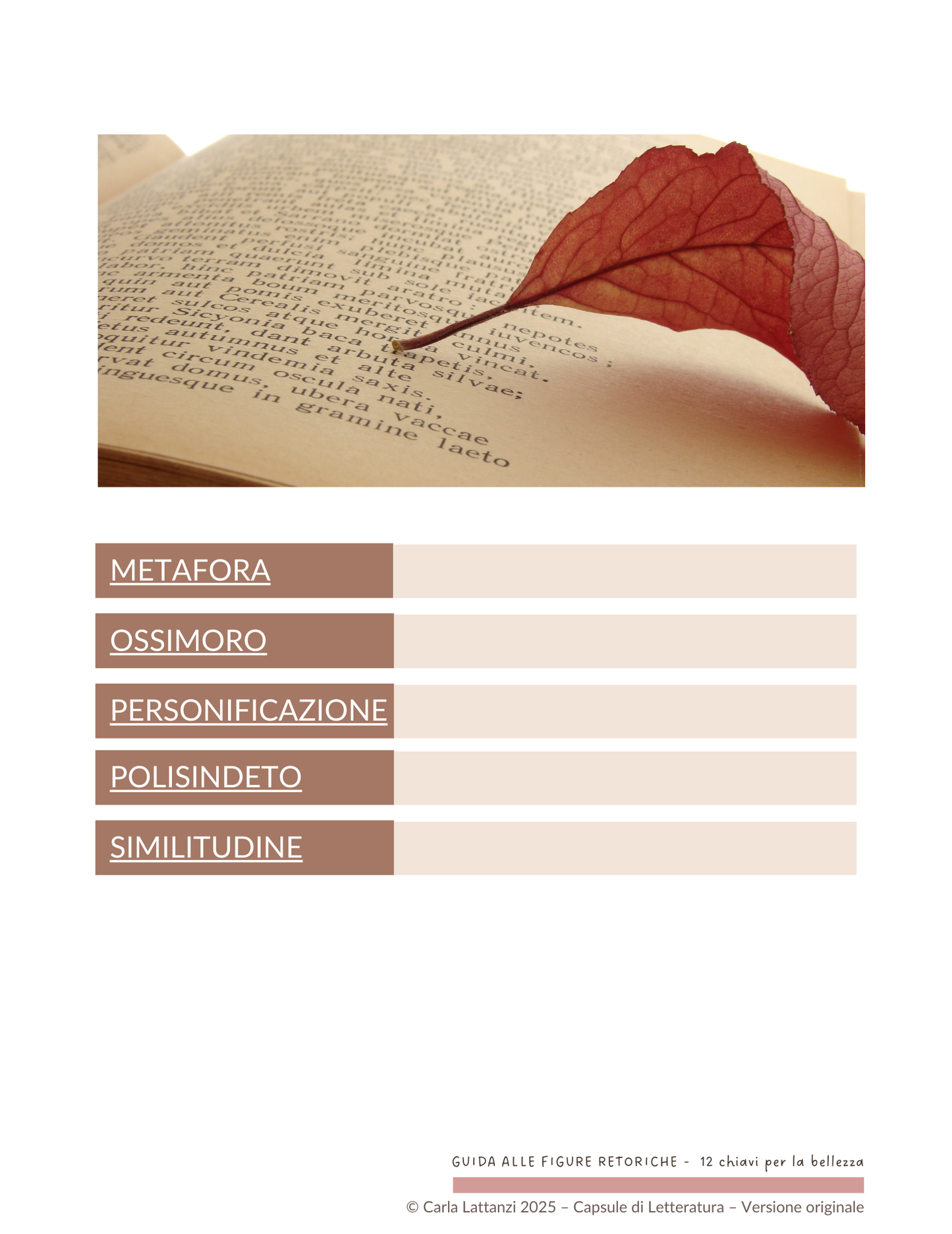 Una foglia rossa sopra un libro di letteratura; indice delle figure retoriche presenti nel libro: metafora, ossimoro, personificazione, similitudine.